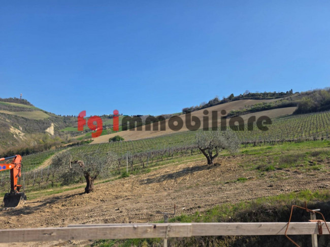 casale in vendita a Ripatransone