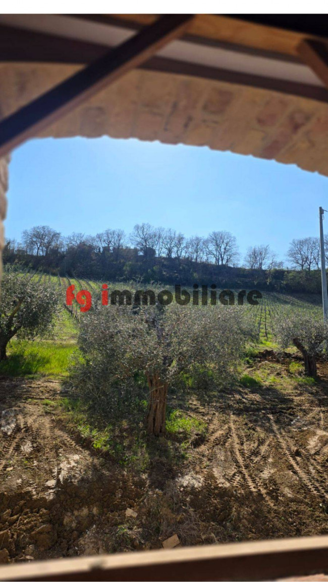 casale in vendita a Ripatransone