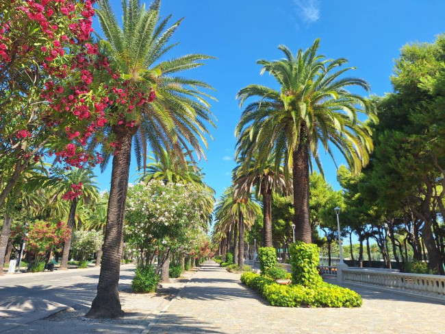 Appartamento in vendita a San Benedetto del Tronto