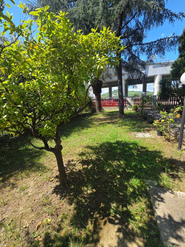 Appartamento in vendita a San Benedetto del Tronto