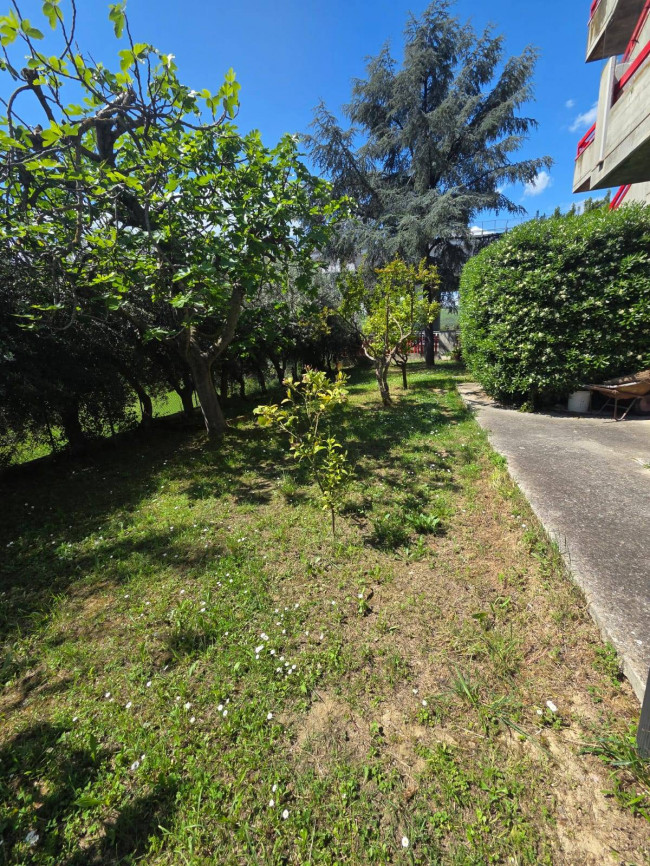 Appartamento in vendita a San Benedetto del Tronto