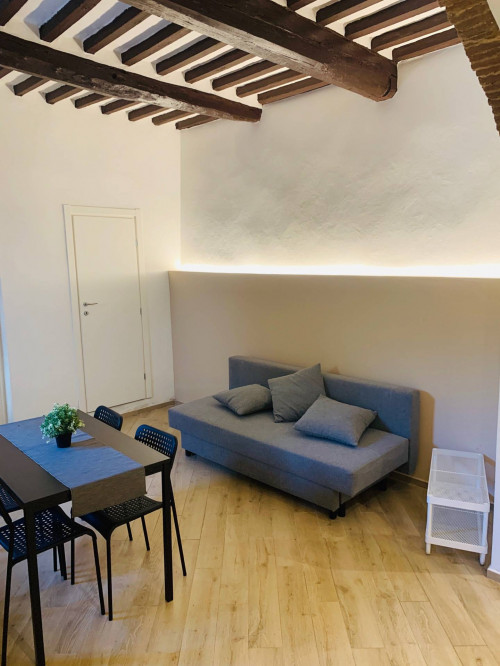 Appartamento in Affitto a Pisa