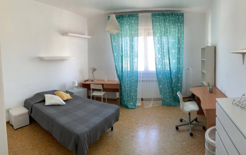 Appartamento in Affitto a Pisa