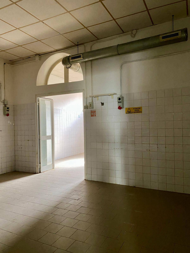 Ingrandisci la foto
