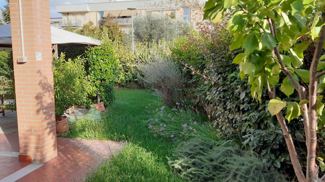 Ingrandisci la foto