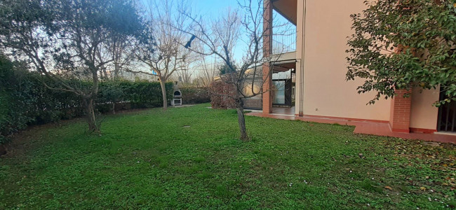 Appartamento in Affitto a Pisa