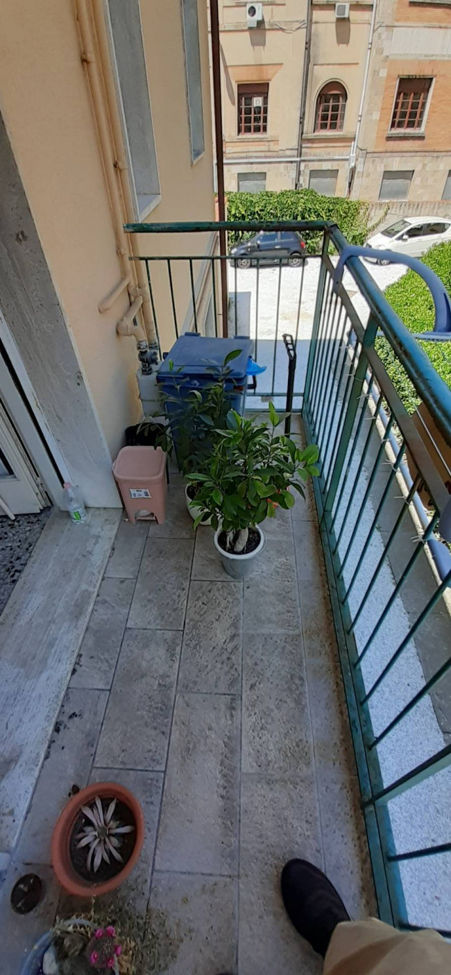 Ingrandisci la foto