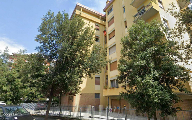 Fondo commerciale in Vendita a Pisa