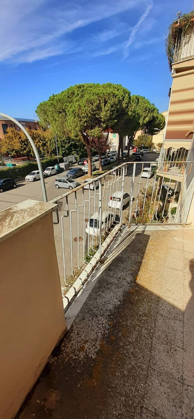Ingrandisci la foto