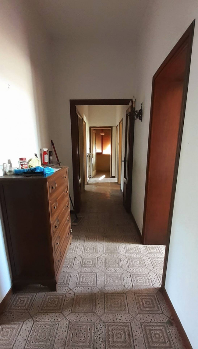 Ingrandisci la foto