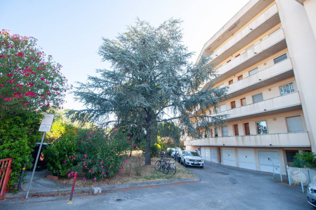 Ingrandisci la foto