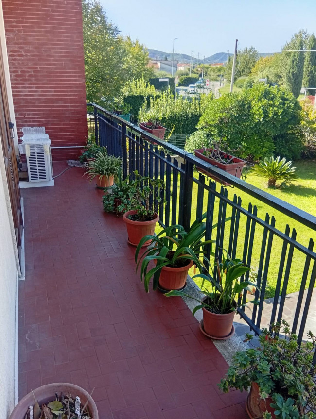 Ingrandisci la foto