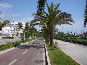 Terreno edificabile in vendita a Alba Adriatica (TE)