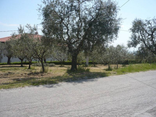 Terreno edificabile in vendita a Colonnella (TE)