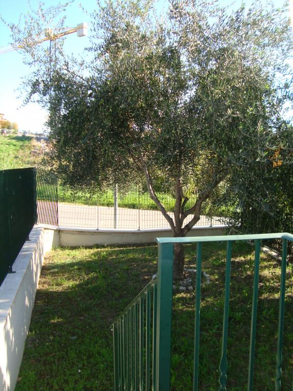  colli-del-tronto vendita quart:  agenzia-immobiliare-abita