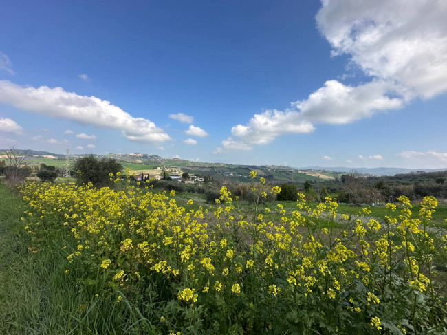Terreno edificabile in Vendita a Castel di Lama