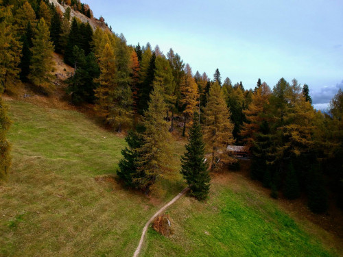 Urige Almhütte in sonniger Alleinlage in unmittelbarer Nähe vom Karerpass zu verkaufen