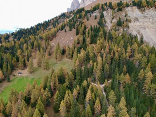 Urige Almhütte in sonniger Alleinlage in unmittelbarer Nähe vom Karerpass zu verkaufen