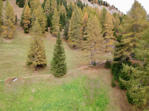 Urige Almhütte in sonniger Alleinlage in unmittelbarer Nähe vom Karerpass zu verkaufen