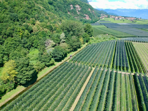 Landwirtschaftliches Grundstück in Eppan-Unterrain zu verkaufen