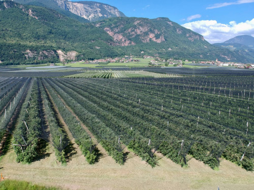 Landwirtschaftliches Grundstück in Eppan-Unterrain zu verkaufen