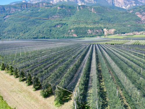 Landwirtschaftliches Grundstück in Eppan-Unterrain zu verkaufen