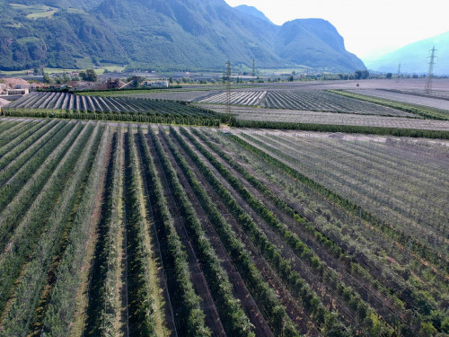 Landwirtschaftliches Grundstück in Eppan-Unterrain zu verkaufen