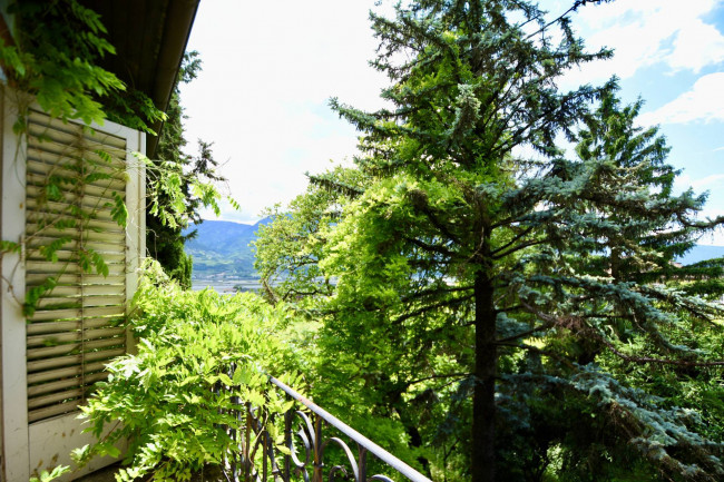 Villa mit Park und Weinberg in Tramin an der Weinstraße