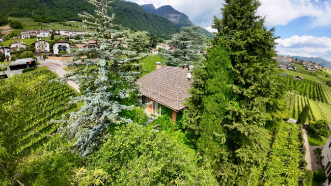 Villa mit Park und Weinberg in Tramin an der Weinstraße