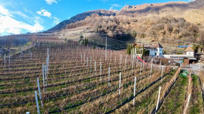 Geschlossener Weinhof „Himmelreichhof“ am Sonnenberg – Exklusives Weingut im Vinschgau