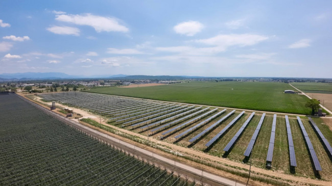 Opportunità di investimento – Azienda frutticola attiva con potenziale agrivoltaico