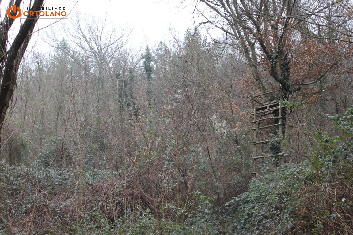 Terreno agricolo in vendita a Sagrado (GO)
