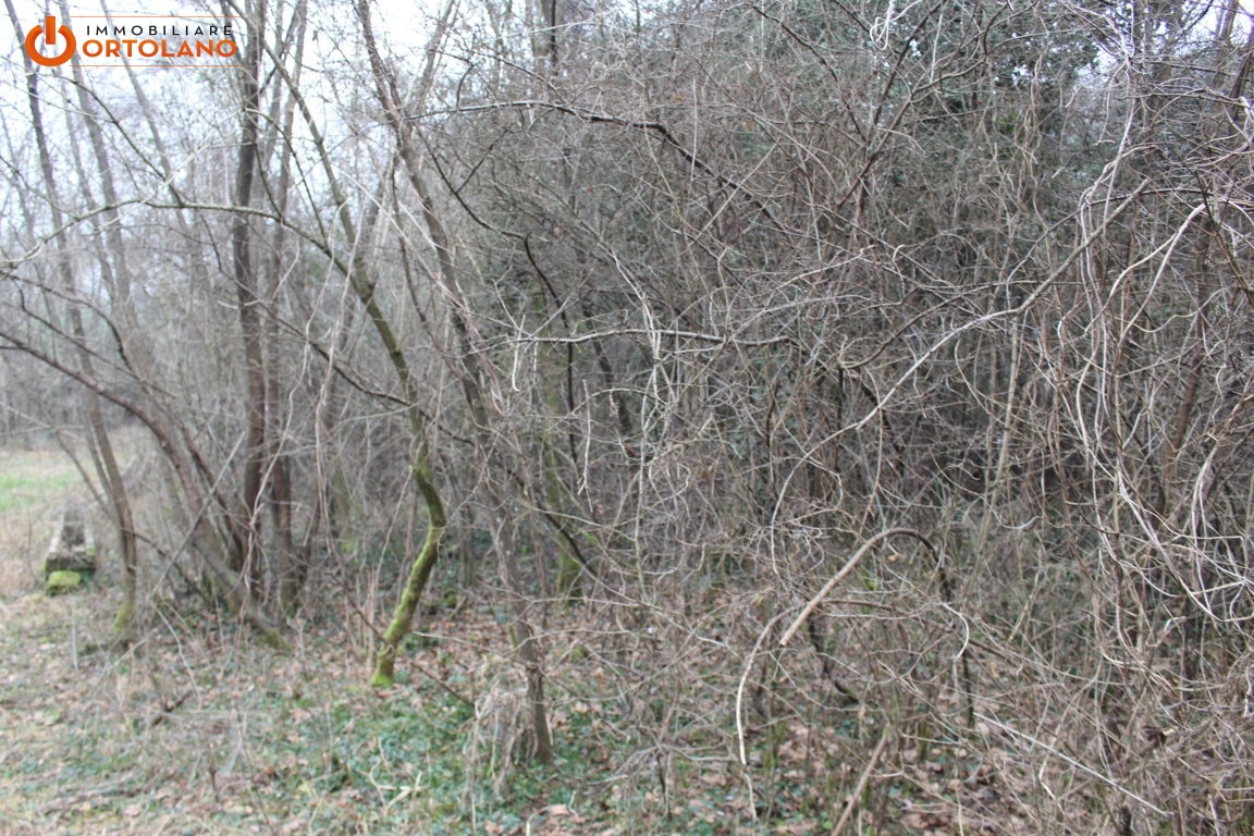 Terreno agricolo in vendita a Sagrado (GO)