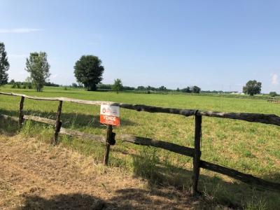 Terreno edificabile a Chiopris-Viscone