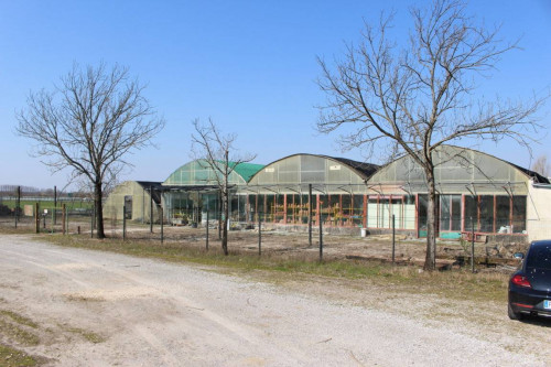 Azienda Agricola a Romans d'Isonzo