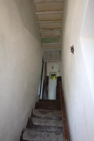 Ingrandisci la foto