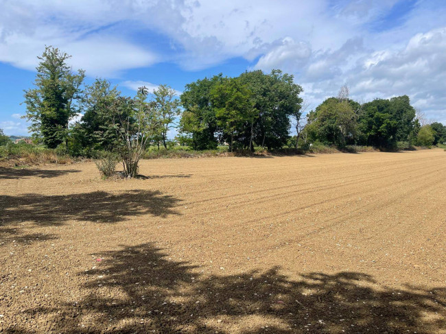 Terreno Agricolo in Vendita a Morrovalle