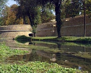 Ufficio - Loc.Com. TREVISO affitto    Rem srl