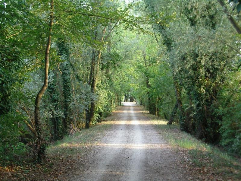  treviso affitto quart:  rem-srl