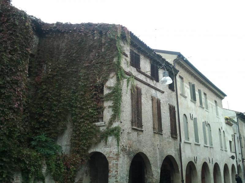 Stabile intero - Palazzo TREVISO vendita  Centro storico  Rem srl