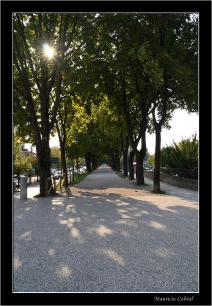 Negozio - Loc.Com. TREVISO affitto  Porta SS. 40  Rem srl