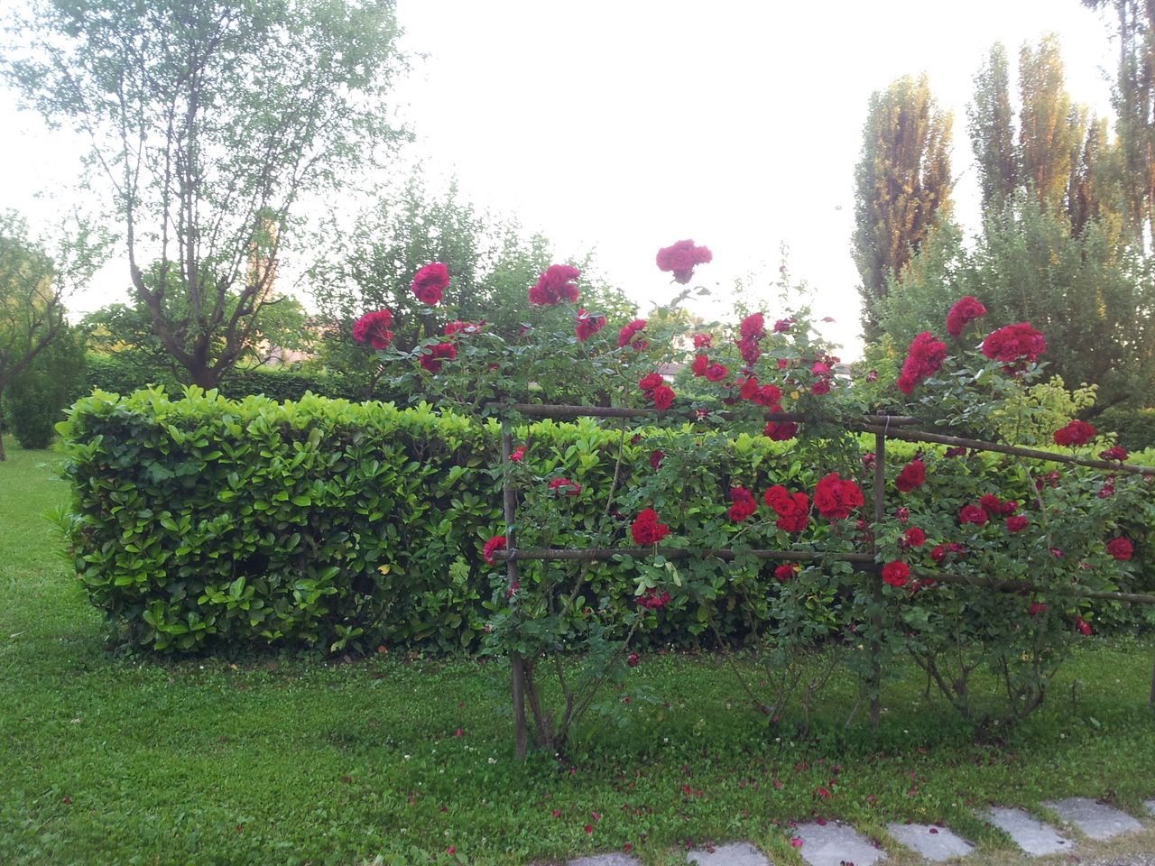 Rustico - Cascina MONASTIER DI TREVISO affitto  Chiesa Vecchia  Rem srl