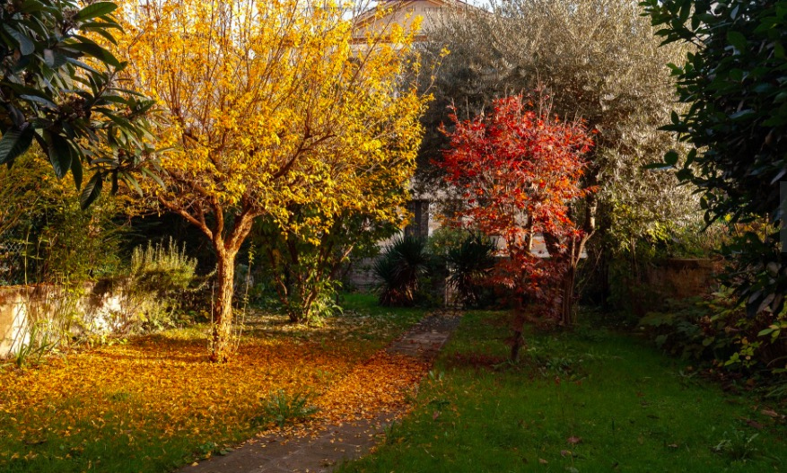 Appartamento TREVISO vendita  Centro storico  Rem srl
