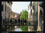 Negozio