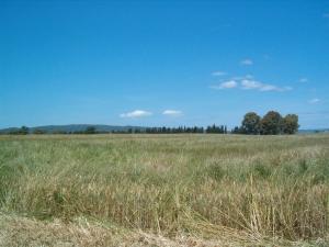Terreno Agricolo