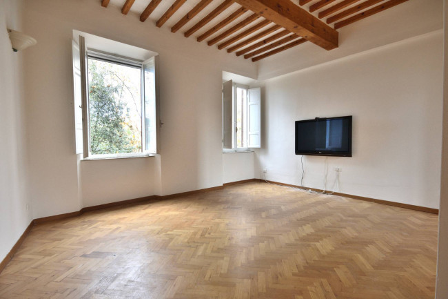 Appartamento in affitto a Pisa