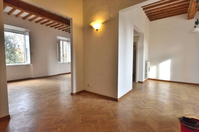 Appartamento in affitto a Pisa