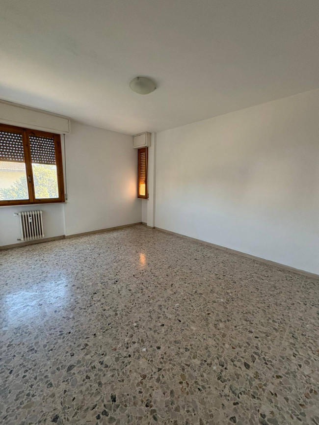Appartamento in affitto a Pisa