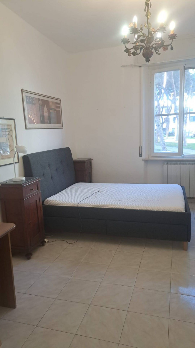 Appartamento in affitto a Pisa