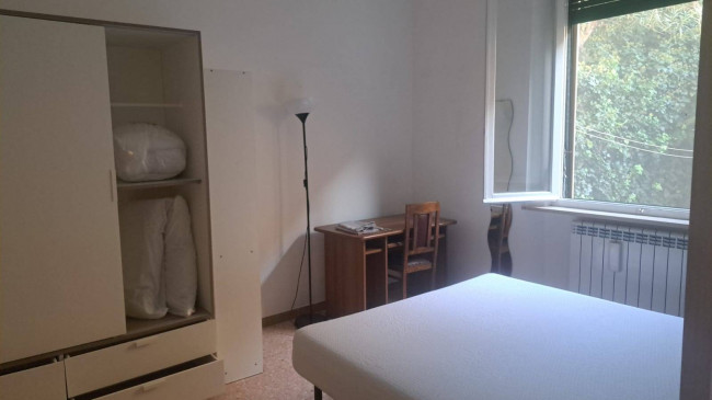 Appartamento in affitto a Pisa